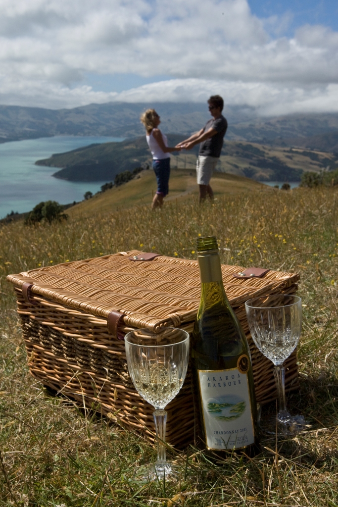 Picnic Basket Set for 2 + Rug (Nelson only, food & drink not included) - $35nzd
