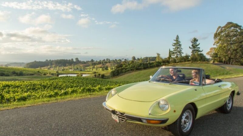 Alfa Spider S2 Rent a classic alfa spider couple overlooking nelson vineyard