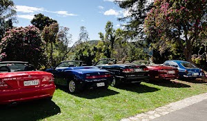 RentAClassic Nelson place picture